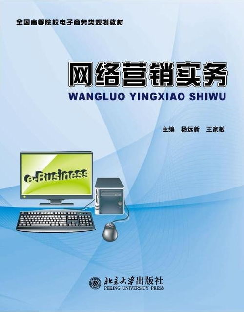 网络营销实务 全国高等院校电子商务类规划教材